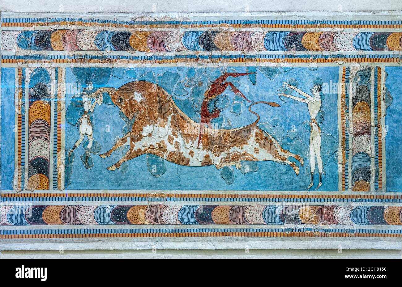 Minoan Fresco, taureau, du Palais de Knossos, nouvelle période de palais, 1450 av. J.-C. Musée archéologique d'Héraklion, Crète, Grèce. Banque D'Images