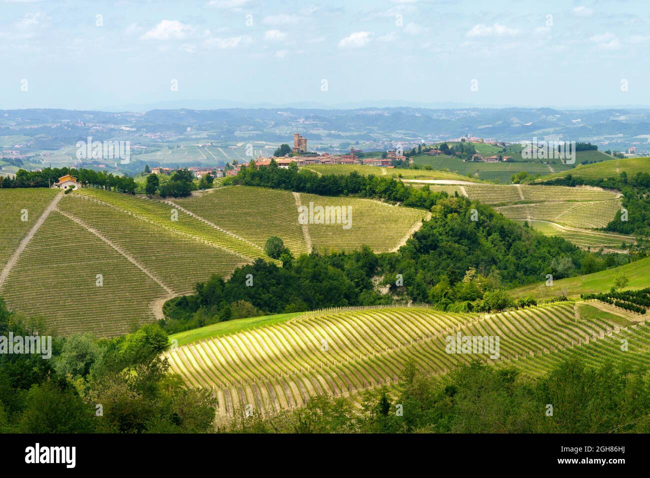 Paysage rural au printemps à Langhe près de Dogliani, province de Cuneo, Piémont, Italie, site du patrimoine mondial de l'UNESCO. Banque D'Images
