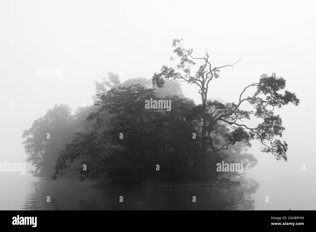 Silhouettes d'arbres sur une petite île dans un lac entouré de brouillard épais Banque D'Images
