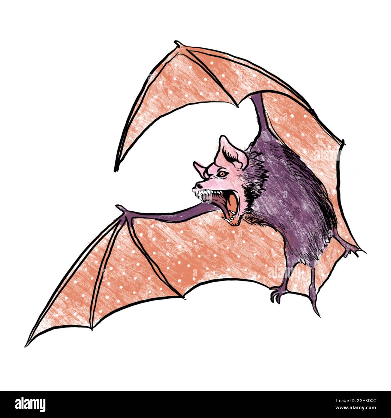 illustration de chauve-souris sur fond blanc, une belle souris avec un motif sur les ailes. dessin pour halloween. Banque D'Images