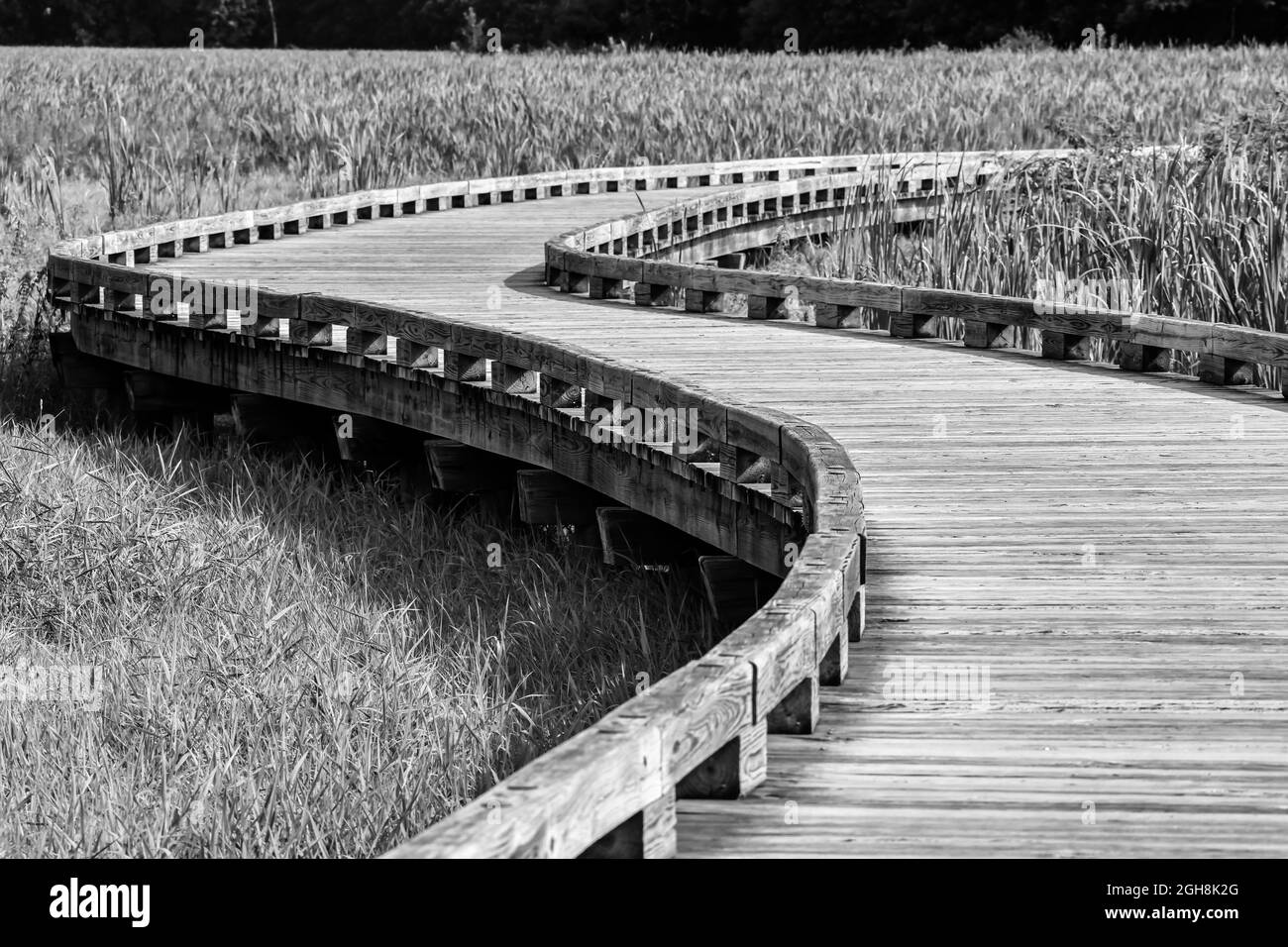 Sentier de randonnée en bois de la promenade à travers le marais et le front de mer Banque D'Images