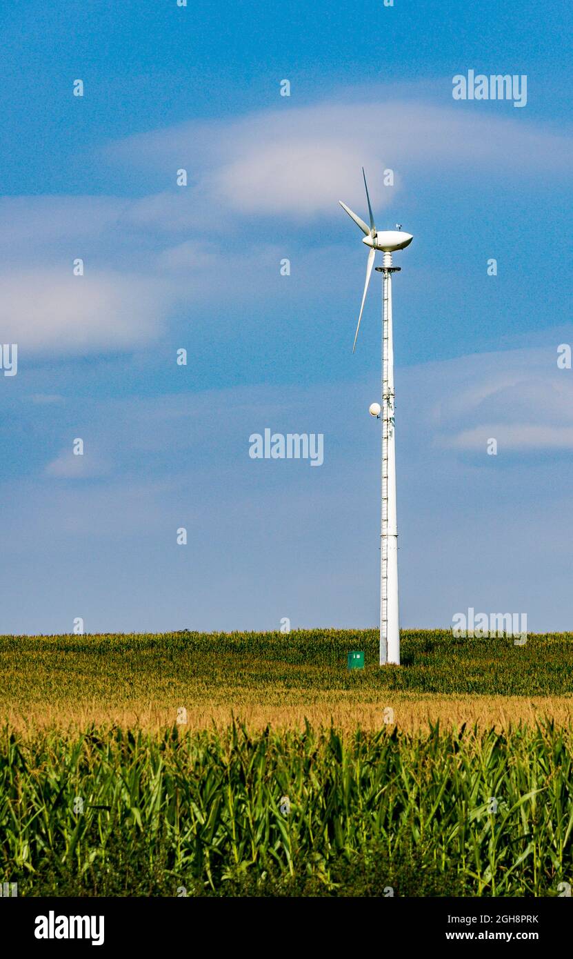 Notinghamshire, Royaume-Uni - Une petite éolienne avec ciel bleu construite parmi les récoltes d'un agriculteur Banque D'Images