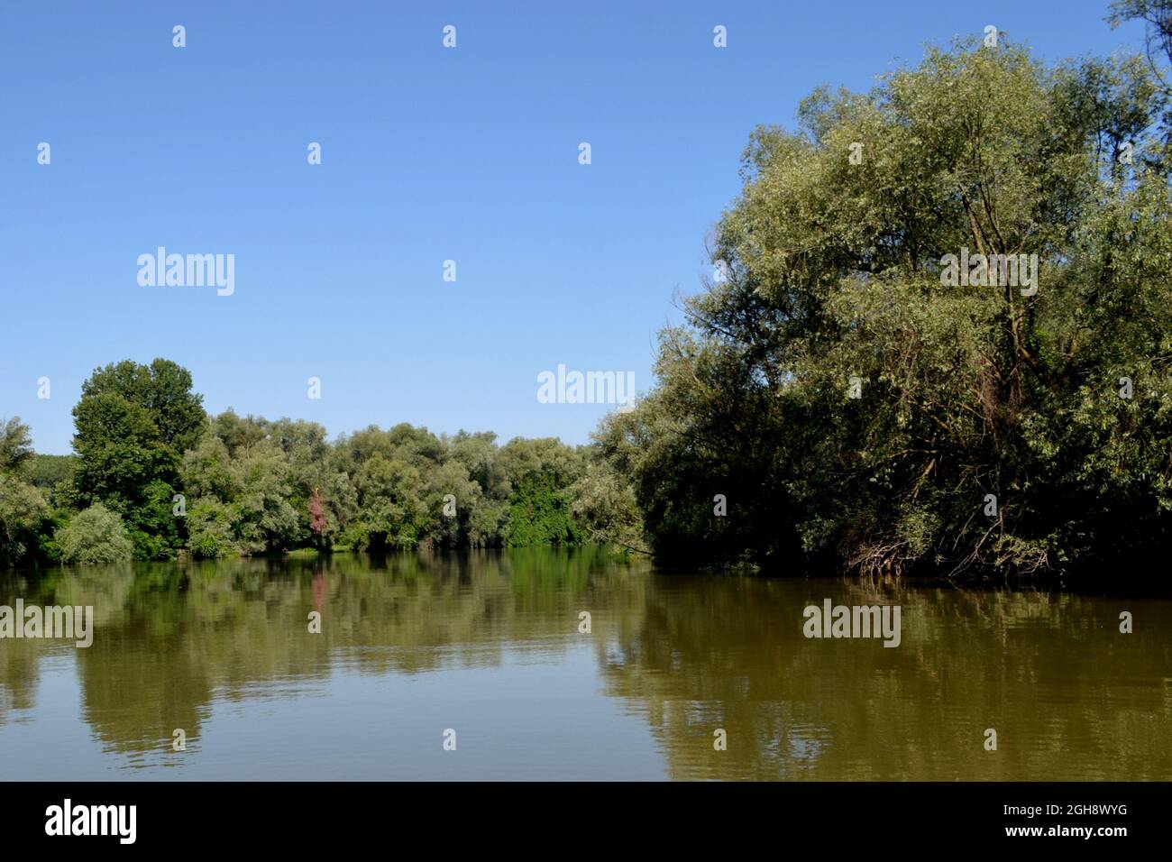 Danube à la rencontre de l'été chaud zones naturelles sur le Danube et les îles du Danube en Roumanie Banque D'Images