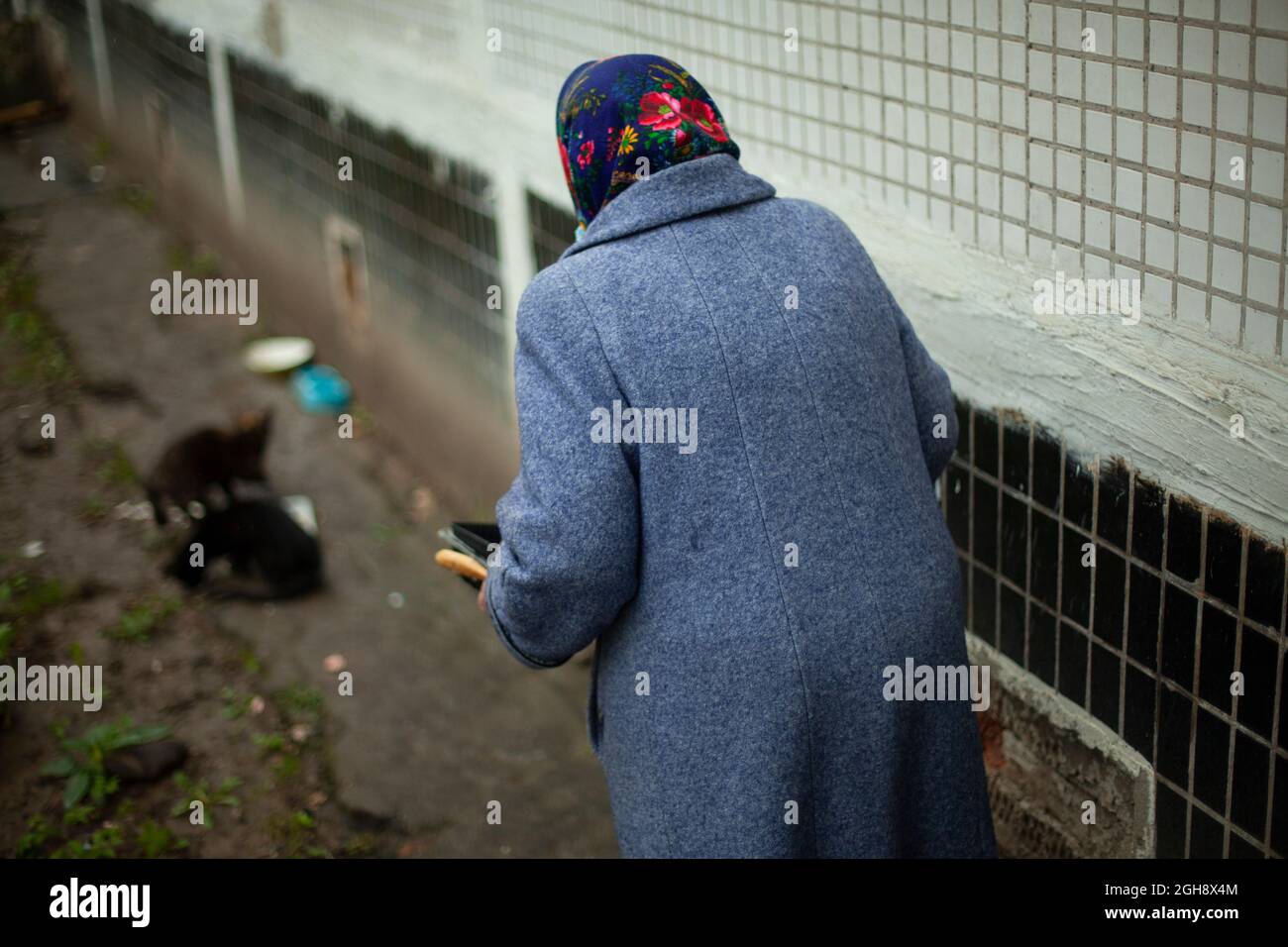 Femme à la retraite en Russie. Femme âgée en Europe de l'est qui nourrit des chats. Une vieille femme près de la maison sous un manteau chaud prend soin des animaux sans abri. Ancien Banque D'Images