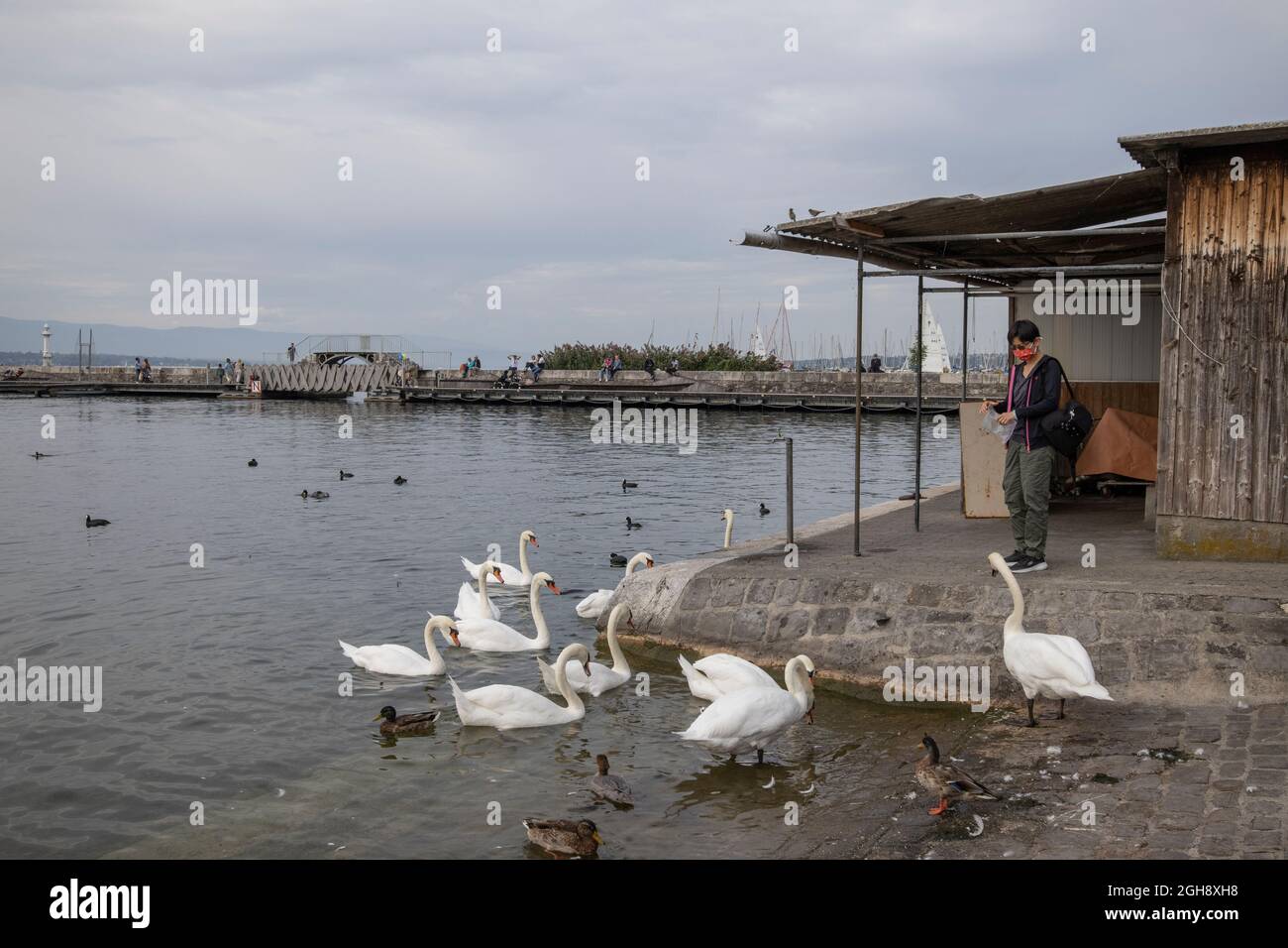 Genève en Suisse, à la pointe sud de l'expansion du lac Léman (lac Léman), Banque D'Images