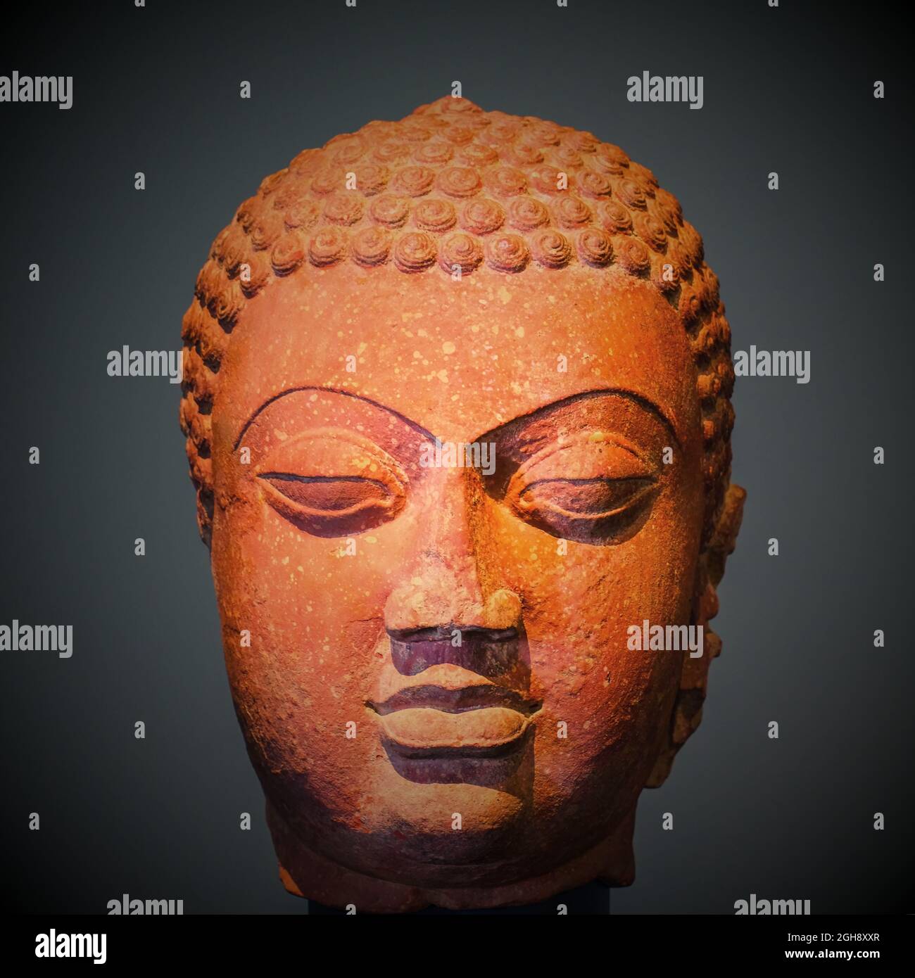 Bouddha antique tête en état de méditation vers l'intérieur, avec des yeux à moitié fermés et un regard vers le bas, sculpté de grès rouge sur fond gris foncé. Banque D'Images