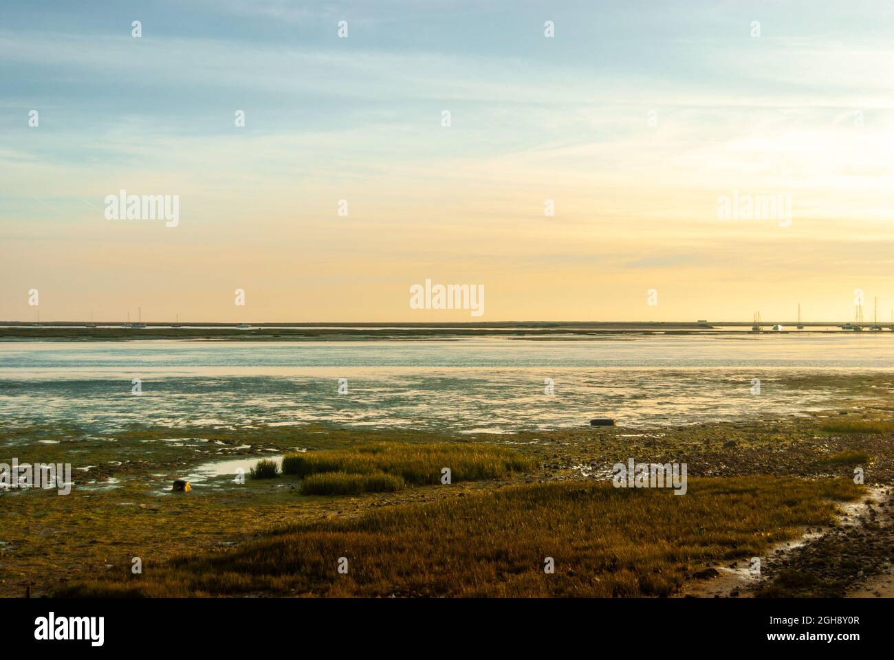 Paysage pastel de rivage marécageux et de mer au coucher du soleil avec ciel plein de couleurs - Panorama Banque D'Images