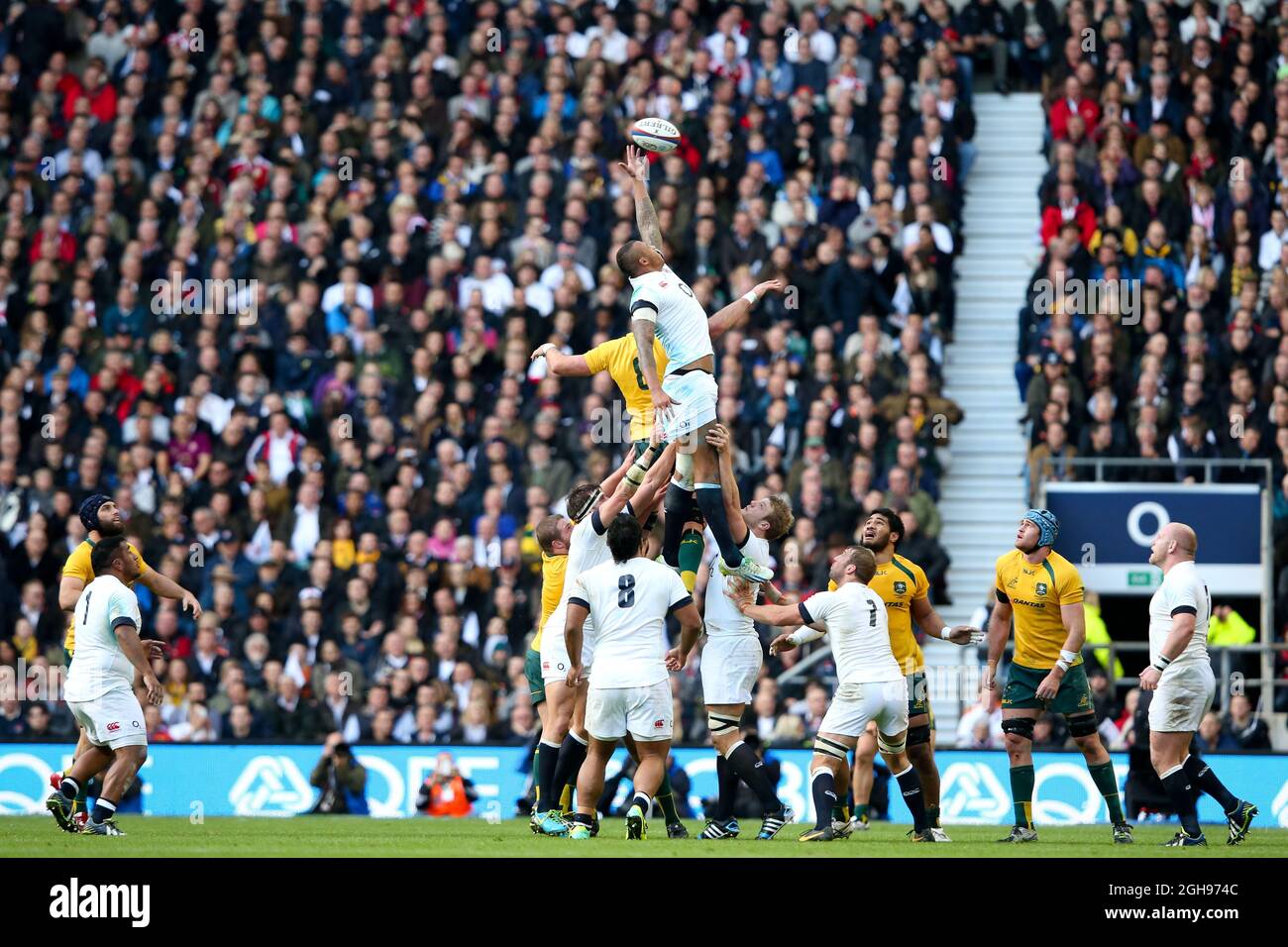 Courtney Lawes en Angleterre lors du match international d'automne QBE entre l'Angleterre et l'Australie au stade de Twickenham à Londres le 2 novembre 2013. Banque D'Images