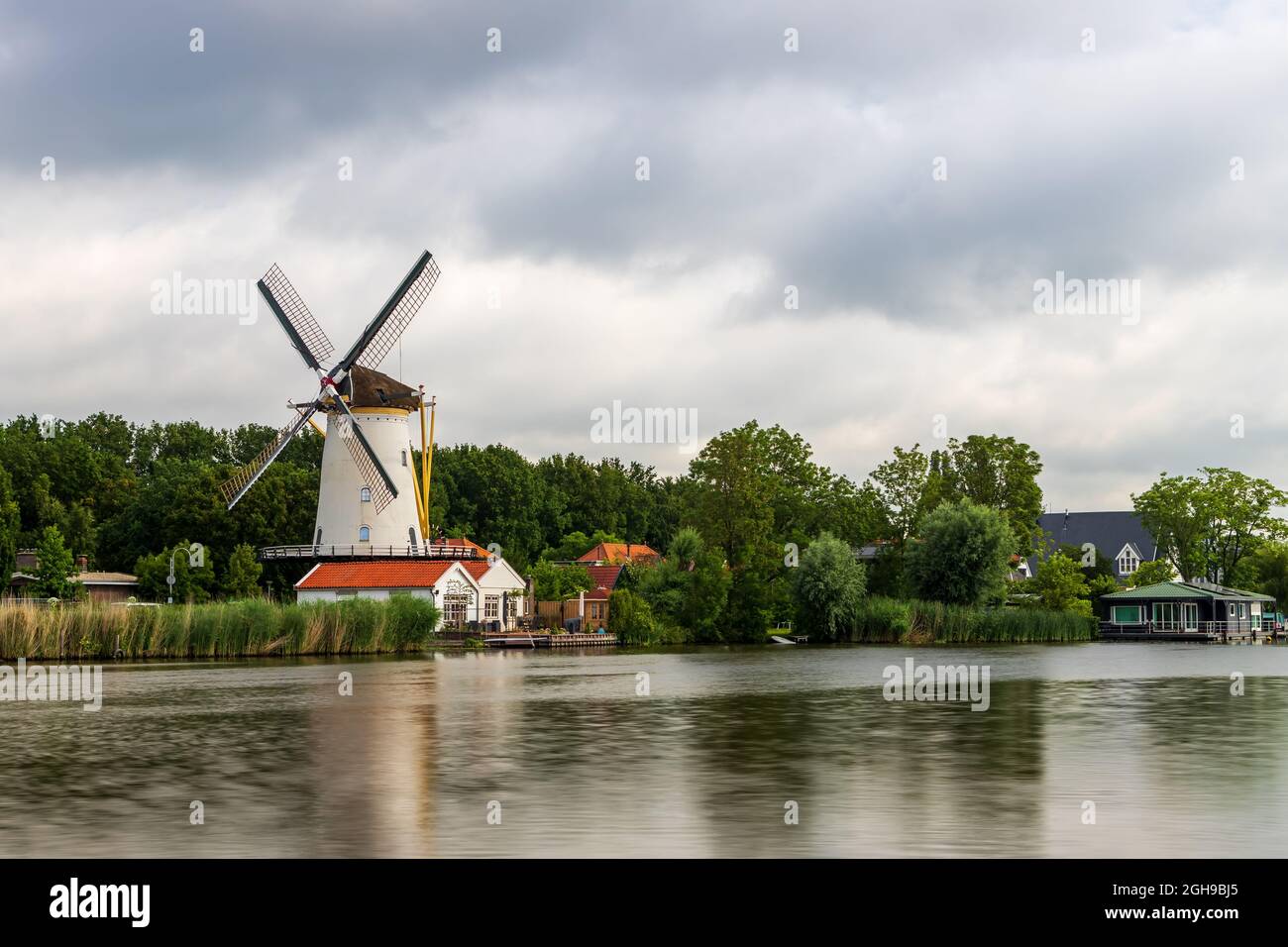 Windmill de vier winden, Rotterdam, pays-Bas Banque D'Images