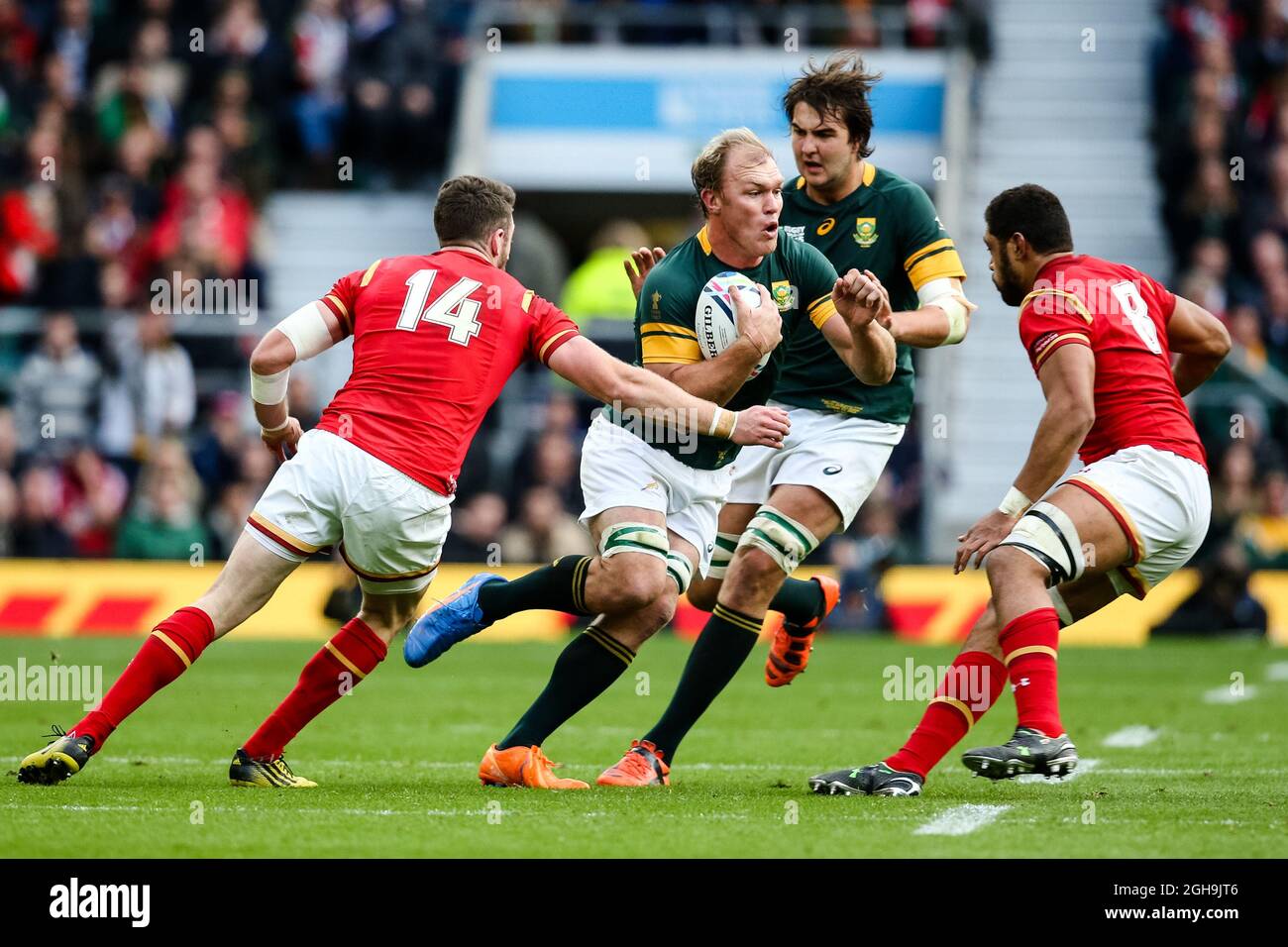 Image #: 40246066 17 octobre 2015 - Londres, Royaume-Uni - South Africa's Schalk Burger - Rugby World Cup 2015 - Quarter-final 01 - South Africa v Wales - Twickenham Stadium - Londres- Angleterre - 17 octobre 2015. Banque D'Images