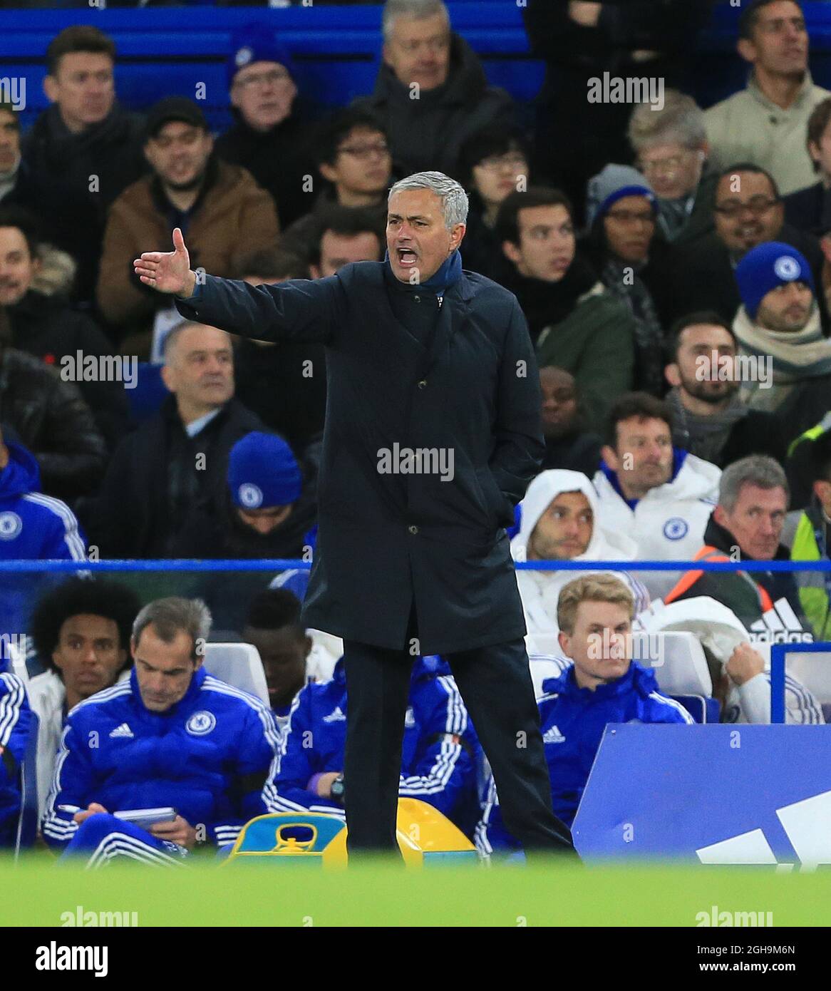 Image #: 40996189 21 nov. 2015 - Londres, Royaume-Uni - Jose Mourinho de Chelsea en action..Barclays Premier League- Chelsea / Norwich City - Stamford Bridge - Angleterre - 21 novembre 2015 - Picture David Klein Banque D'Images