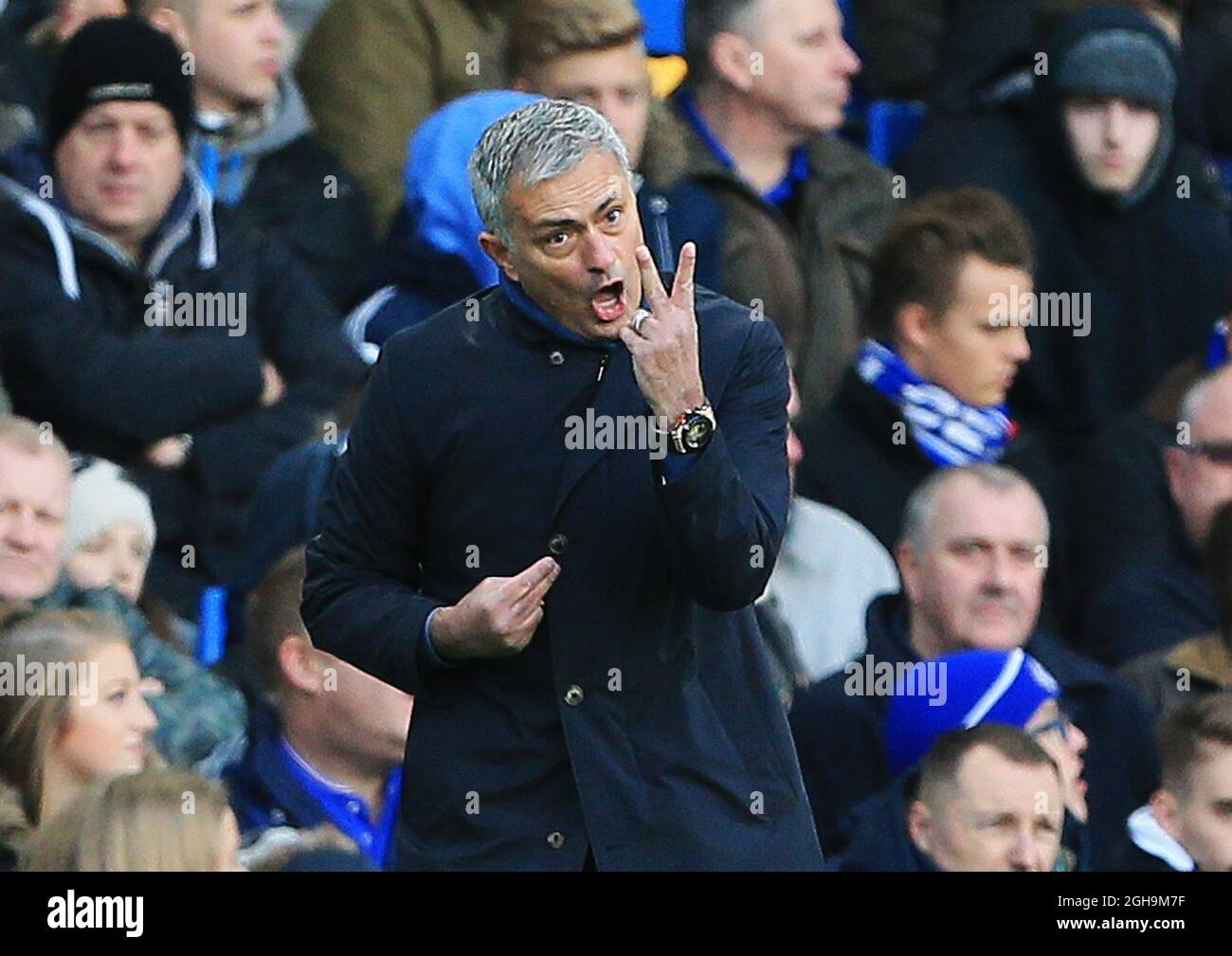 Image #: 40996171 21 nov. 2015 - Londres, Royaume-Uni - Jose Mourinho de Chelsea en action..Barclays Premier League- Chelsea / Norwich City - Stamford Bridge - Angleterre - 21 novembre 2015 - Picture David Klein Banque D'Images