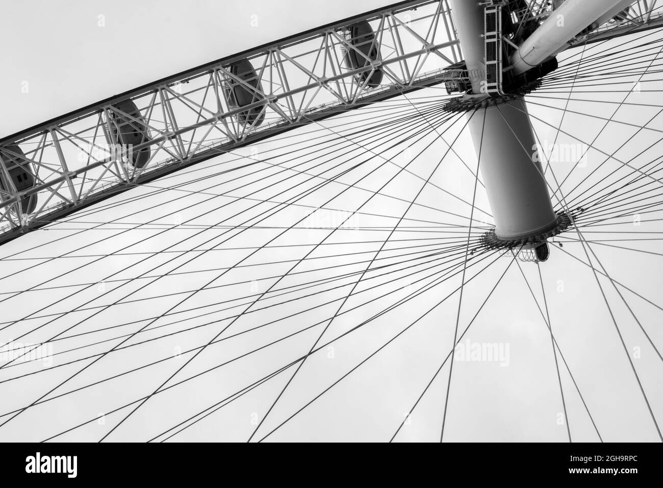 Le London Eye ou Millennium Wheel derrière les branches des arbres. Il est situé sur la rive sud de la Tamise à Westminster, Londres Banque D'Images