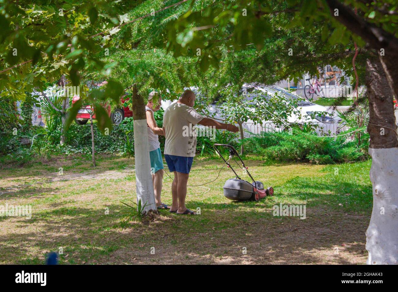 Homme enseignant comment tondre l'herbe. Homme âgé éduqué par son fils. Banque D'Images