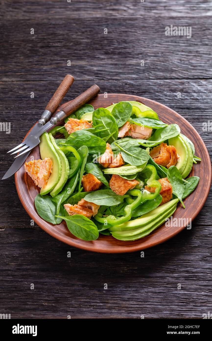 salade de saumon à l'avocat aux épinards et au poivre vert sur une assiette rustique brune avec fourchette et couteau sur une table en chêne tourbière, régime méditerranéen sain, vie verticale Banque D'Images