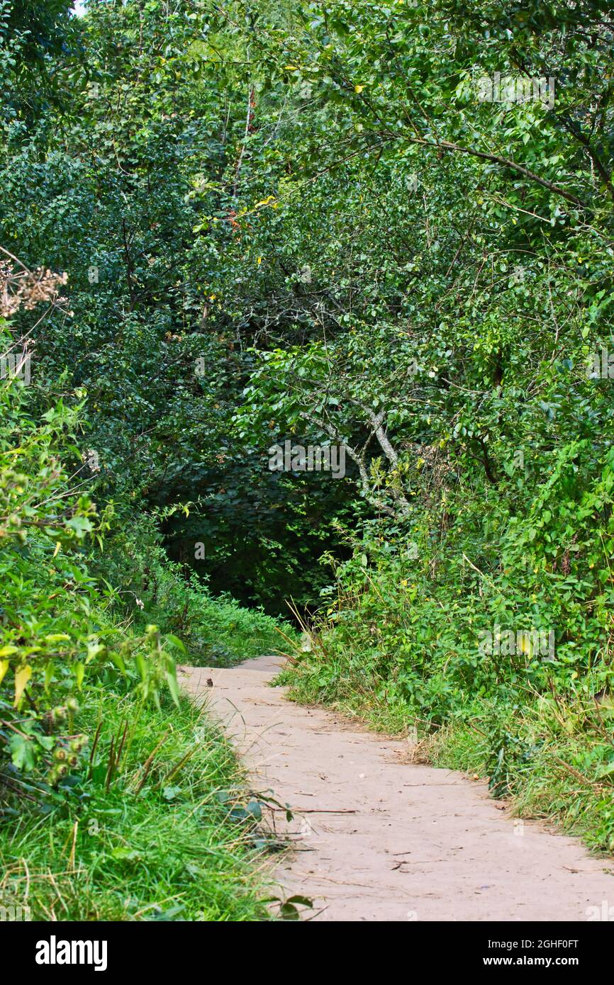 Des images étonnantes du paysage prises à Box Hill Banque D'Images