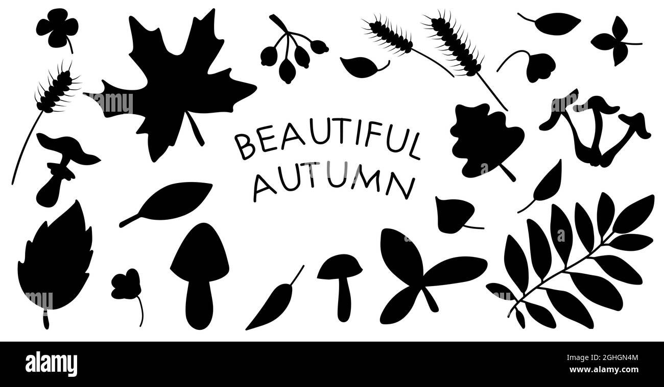 L'automne noir laisse des silhouettes isolées sur fond blanc. Grand ensemble de feuillage d'arbre d'automne vectoriel d'érable, de chêne, de bouleau, de quelques baies et de champignons Illustration de Vecteur
