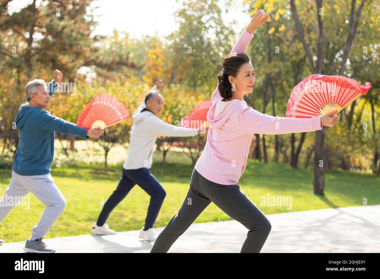 Adulte senior pratiquant le Tai Chi dans le parc Banque D'Images