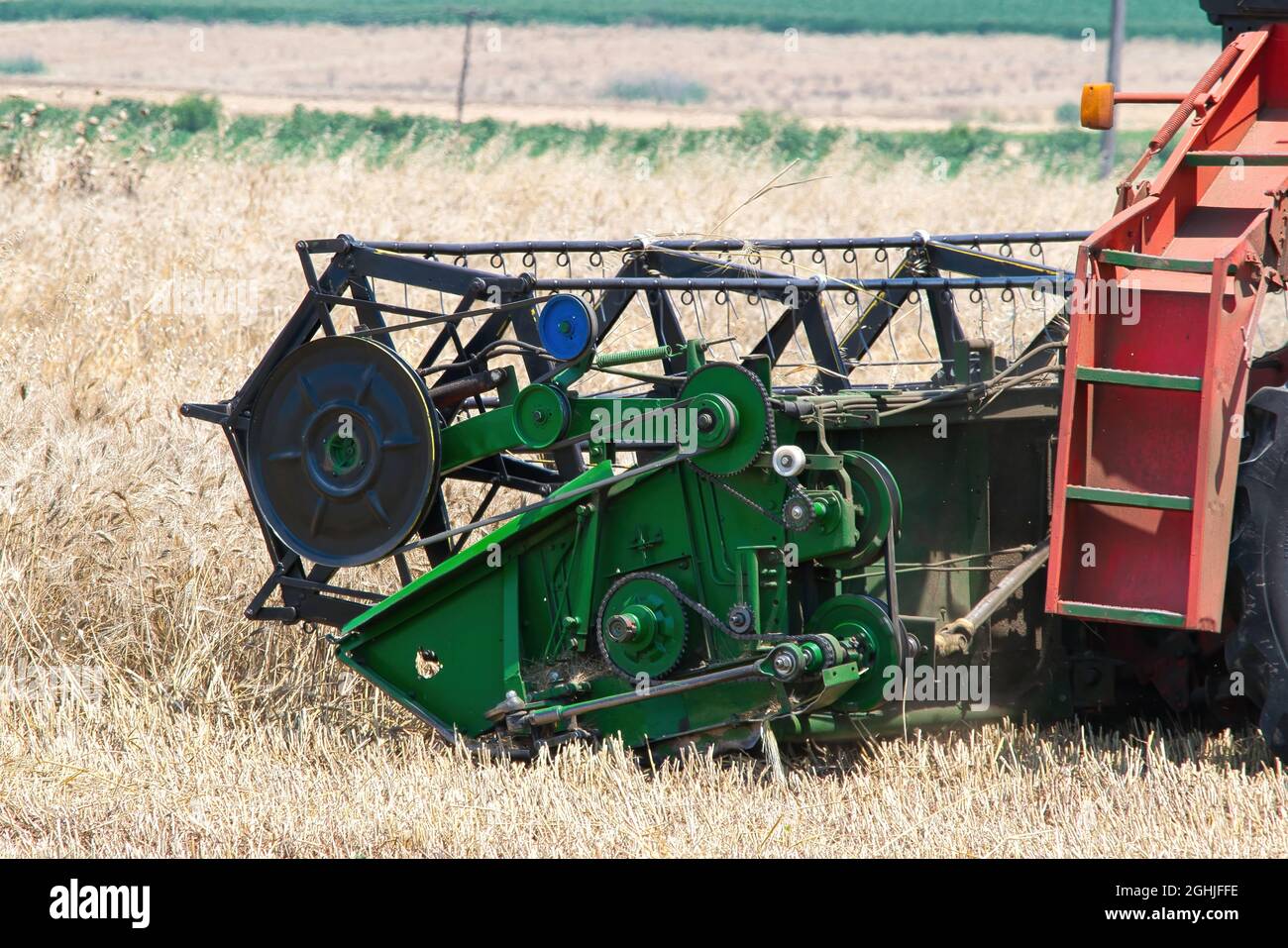 Moissonneuse batteuse en action sur le champ de blé Banque D'Images