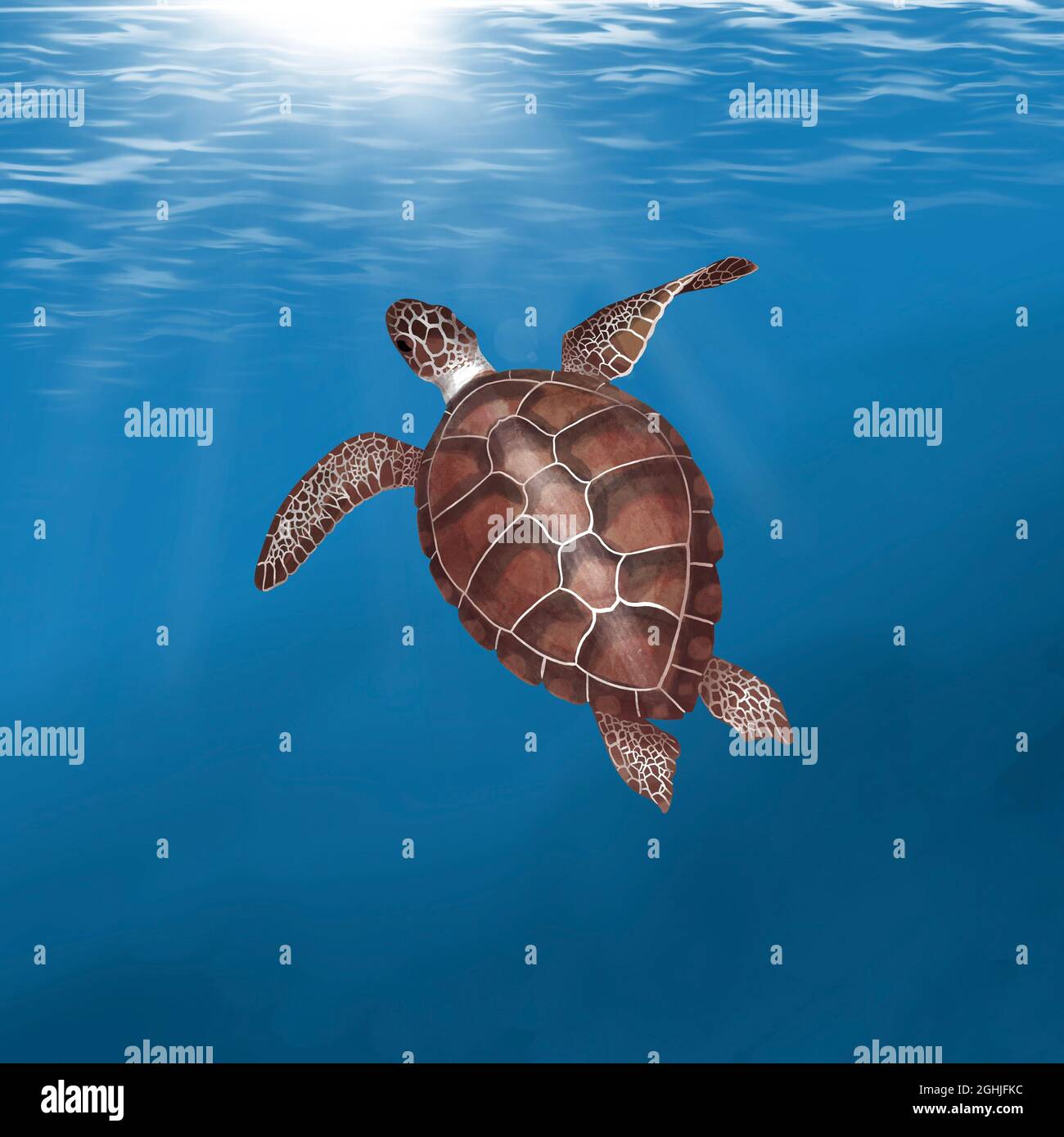 Tortue de mer aquarelle activée. Sur le fond de l'océan. Illustration d'une tortue de mer Banque D'Images