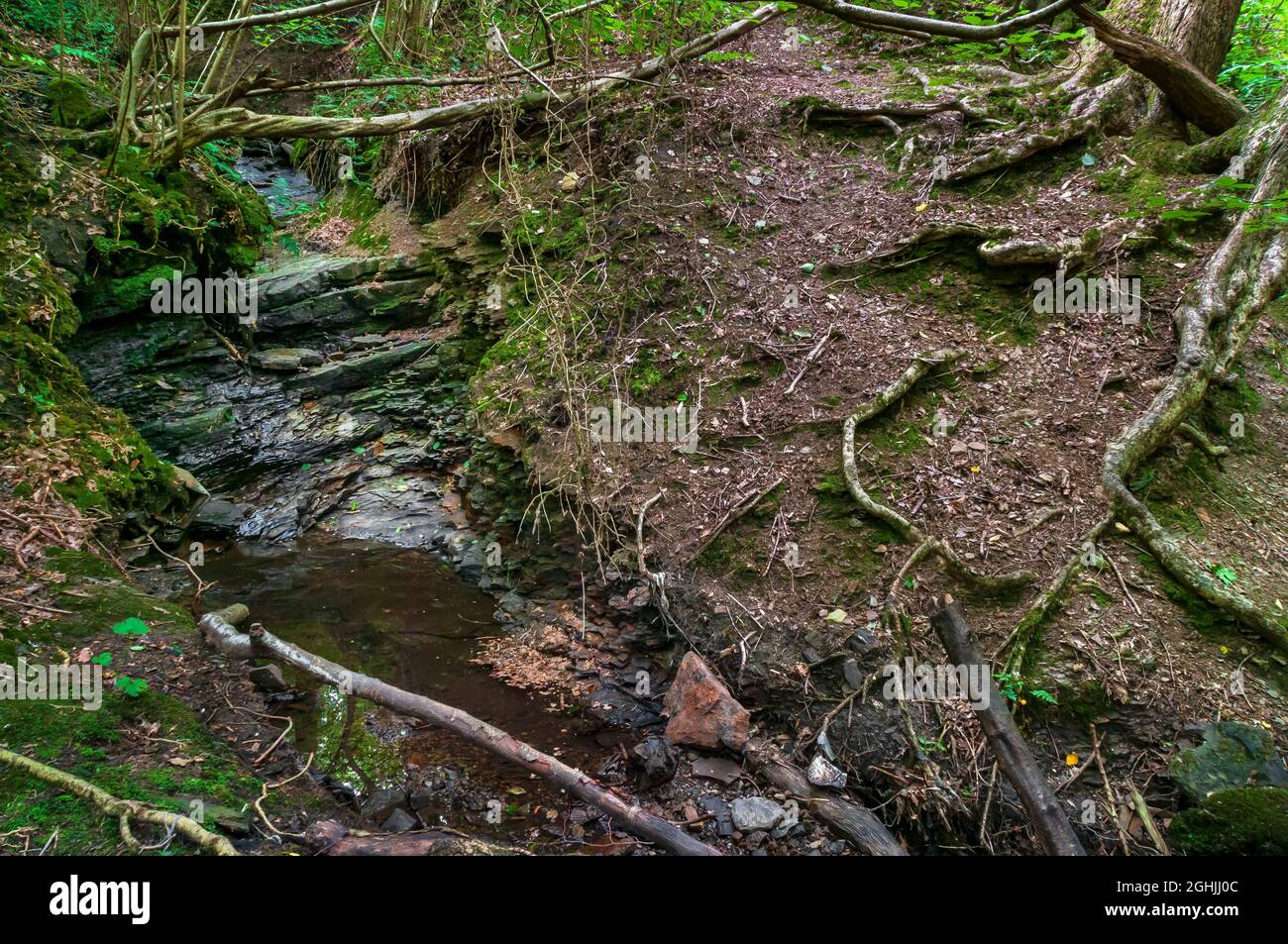Des lits de grès en pente sur le schiste créent une petite cascade sur un ruisseau à Leeshall Wood, dans la vallée de Gleadless, à Sheffield. Banque D'Images
