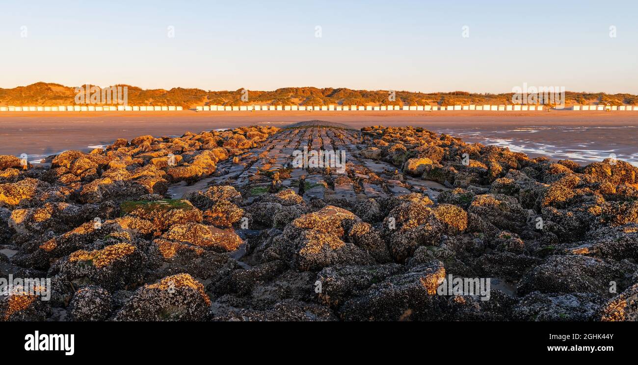 Brise-lames avec cabines de plage panorama au coucher du soleil sur la mer du Nord, Bredene, Belgique. Banque D'Images
