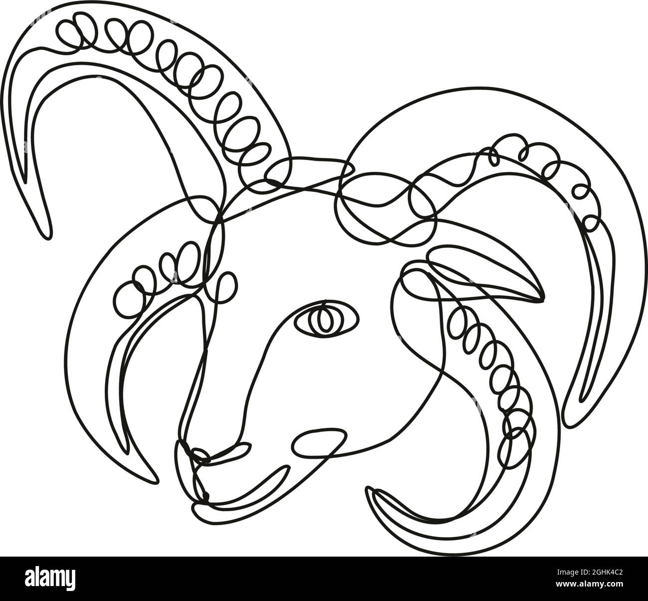 Dessin en ligne continue illustration d'une tête de mouton Manx Loaghtan fait en ligne mono ou en style doodle en noir et blanc sur fond isolé. Illustration de Vecteur