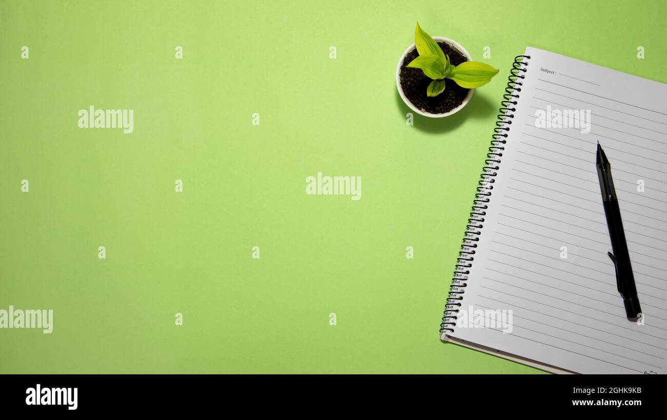 Flat Lay noir à l'école et le concept d'éducation sur fond vert avec bloc-notes vierge, crayon, plante verte et fournitures Banque D'Images
