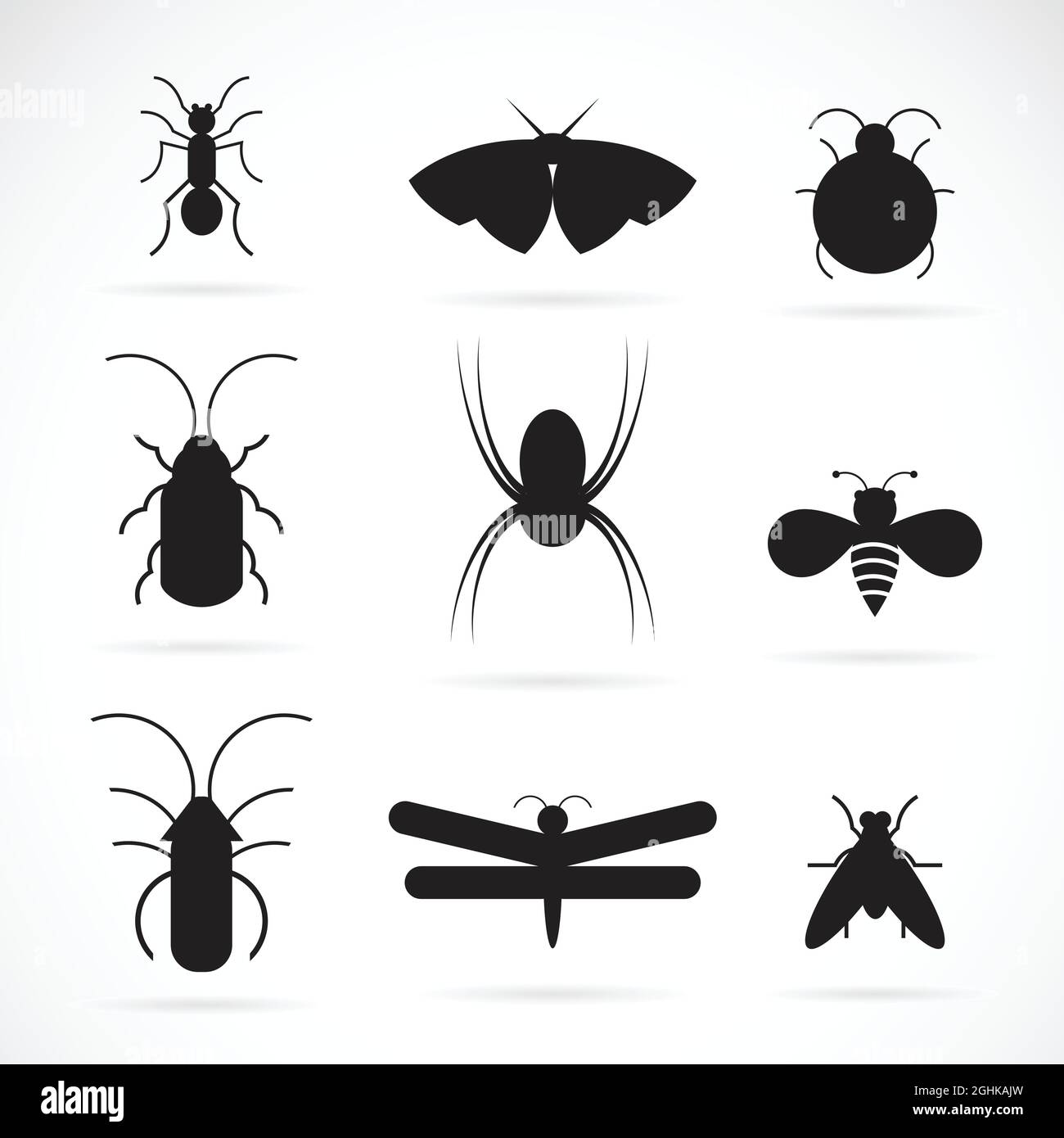 Vecteur de groupe d'insectes sur fond blanc. Insecte. Animal. Icône insectes. Illustration de Vecteur