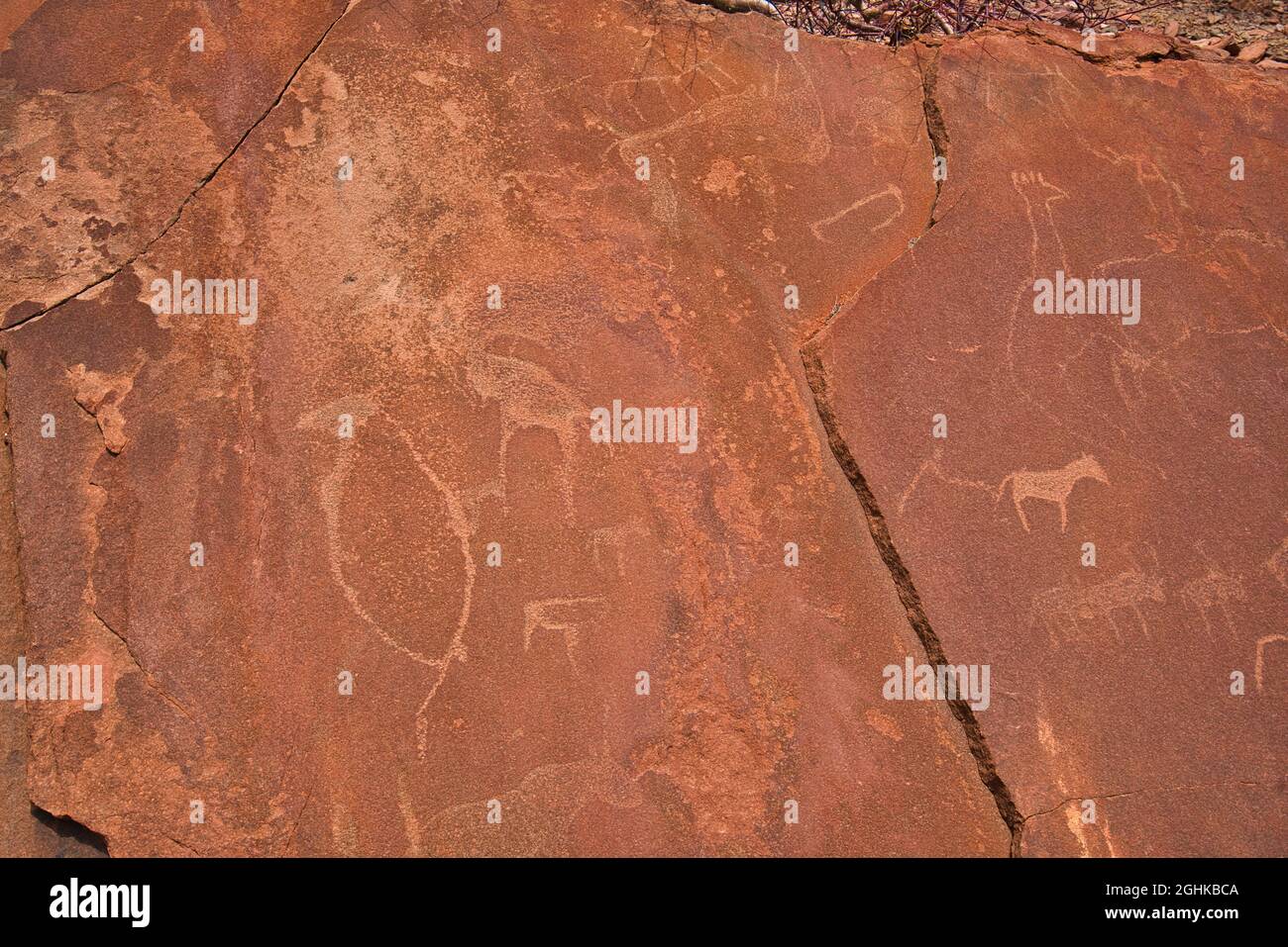 Site de pétroglyphes anciens. Sculptés avec des girafes, des chevaux et d'autres animaux. La forêt pétrifiée et le site du patrimoine mondial de Twyfelfontein (ǀUi-ǁA Banque D'Images