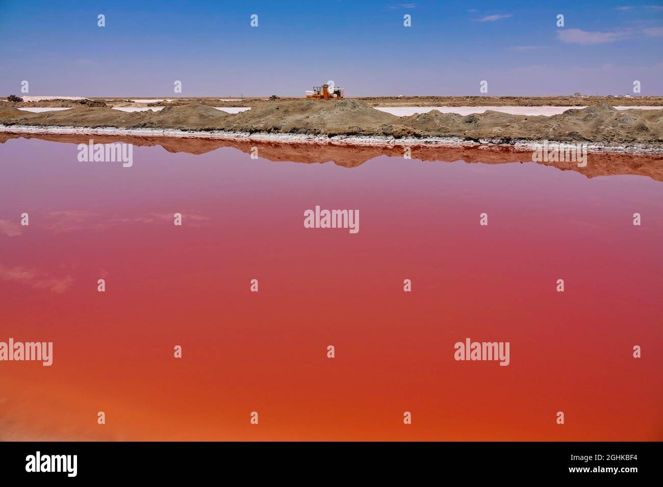Le sel peut être extrait du lac de saumure rouge. Terrain de dunes de sable spécial. Flocks of flamants (flamants roses). Walvis Bay (Whale Bay), Namibie. 2019 octobre Banque D'Images