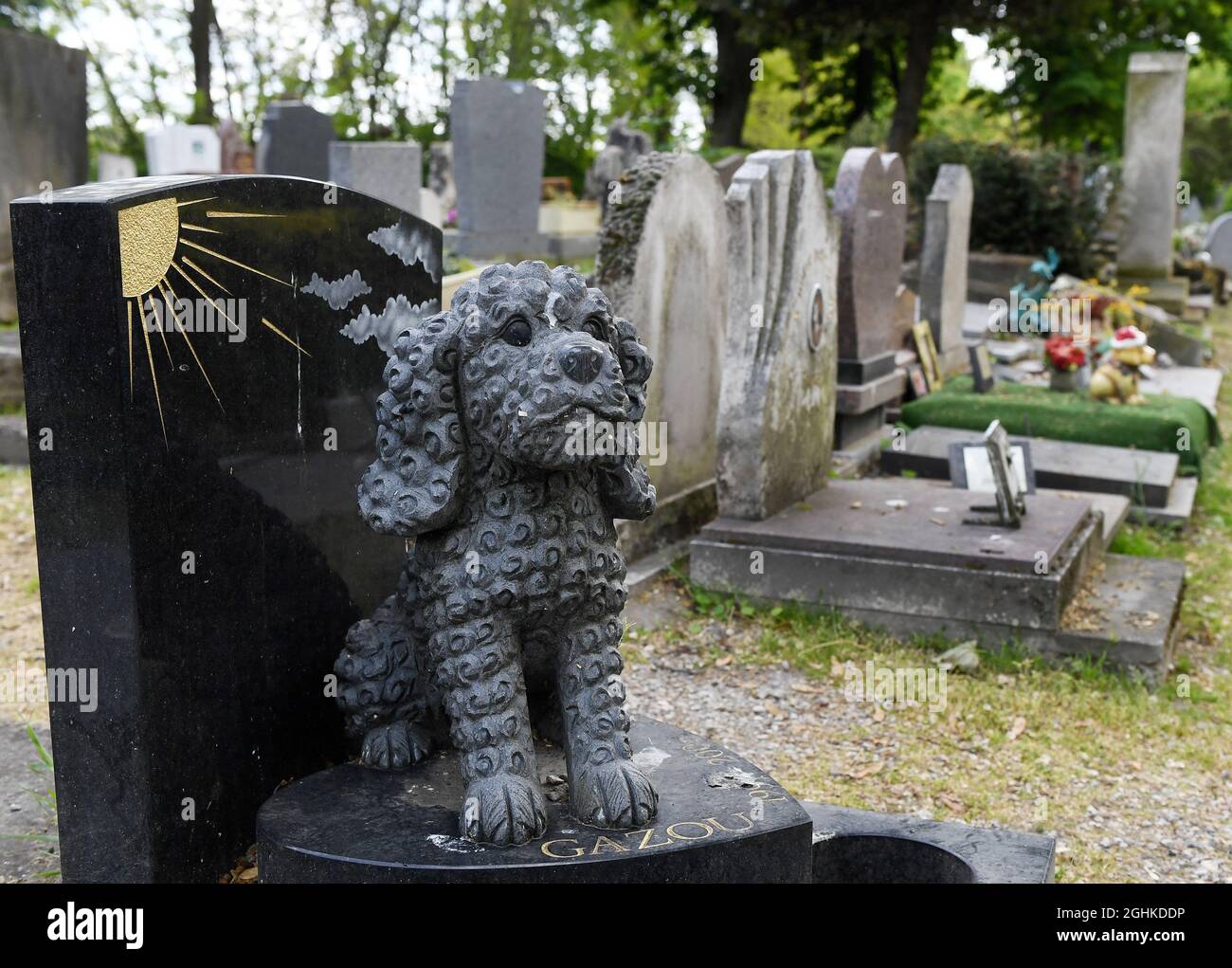 Tombe d'un chien dans le Cimetière des chiens à AsnieressurSeine,