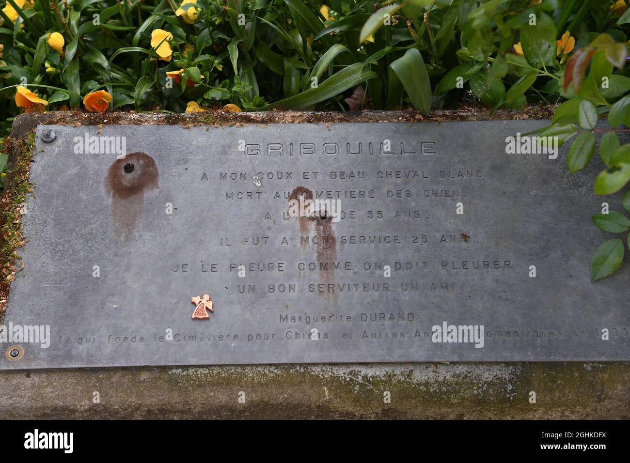 Tombe de Gribouille, le cheval blanc de Marguerite Durand, dans le Cimetière des chiens d'Asnieres-sur-Seine, en périphérie de Paris, en France, le 2021 mai. Le cimetière parisien des chiens et autres animaux domestiques est le plus ancien cimetière public au monde pour animaux domestiques. Le Cimetière des Chiens est un long et étroit cimetière avec des terrains joliment aménagés qui donnent sur la Seine. Les rangées de tombes soigneusement disposées incluent des pierres tombales et d'autres monuments de la fin du XIXe siècle à nos jours, beaucoup avec des statues ou des photos d'animaux de compagnie bien-aimés. Le cimetière doit ses débuts à une loi qui était pa Banque D'Images