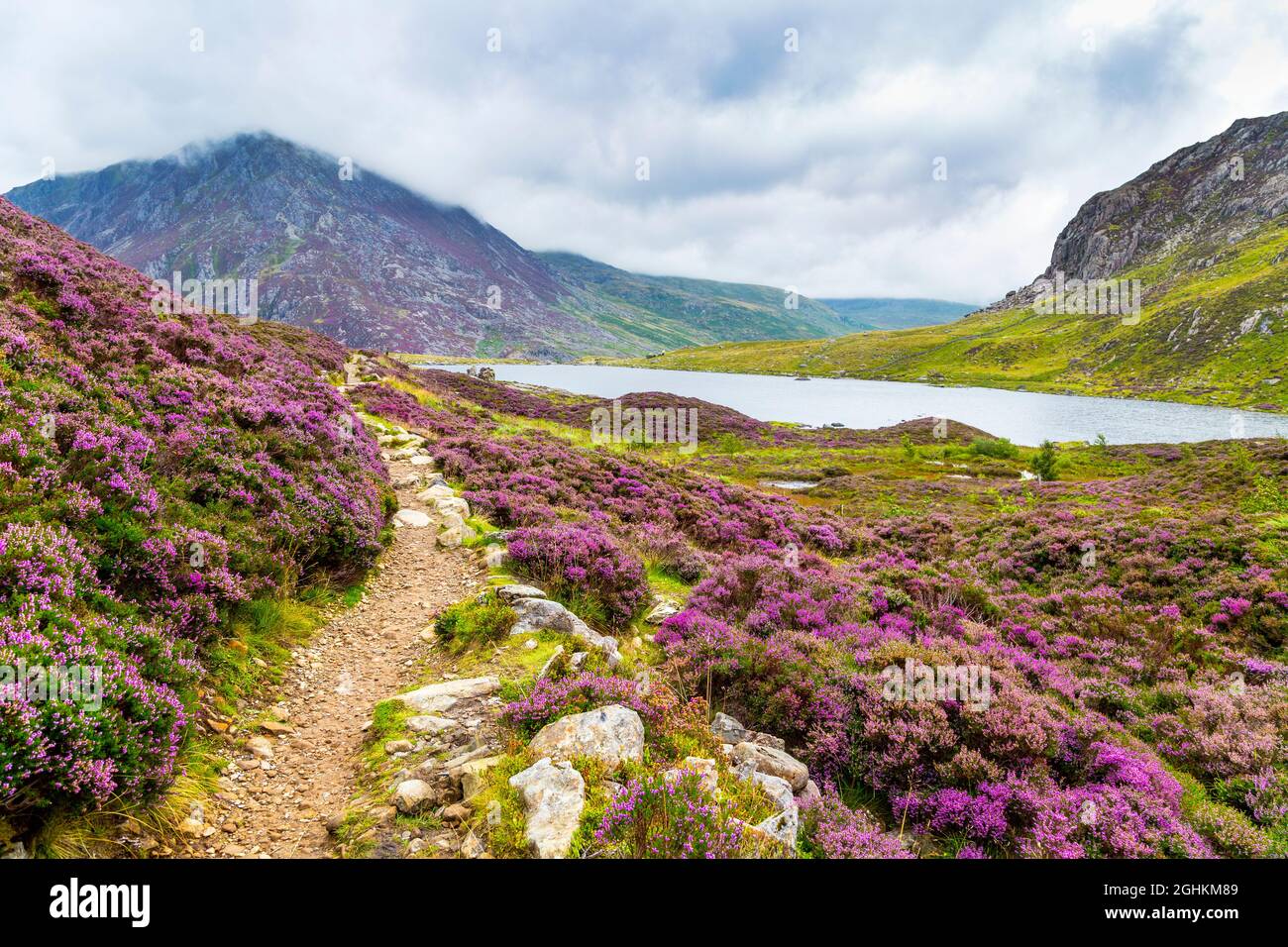 Lac Llyn Idwal le long de la piste jusqu'au sommet de Glyder Fawr et à la montagne de Pen yr Ole Wen, MCG Idwal, parc national de Snowdonia, pays de Galles, Royaume-Uni Banque D'Images