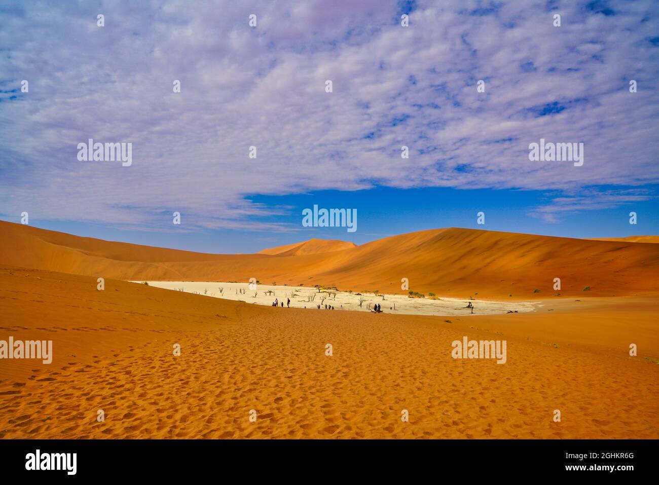 Le désert rouge, les arbres morts, et les touristes randonnée dans les dunes de sable. Sossusvlei est une casserole de sel et d'argile entourée de hautes dunes rouges, Namib-Naukluft Nati Banque D'Images