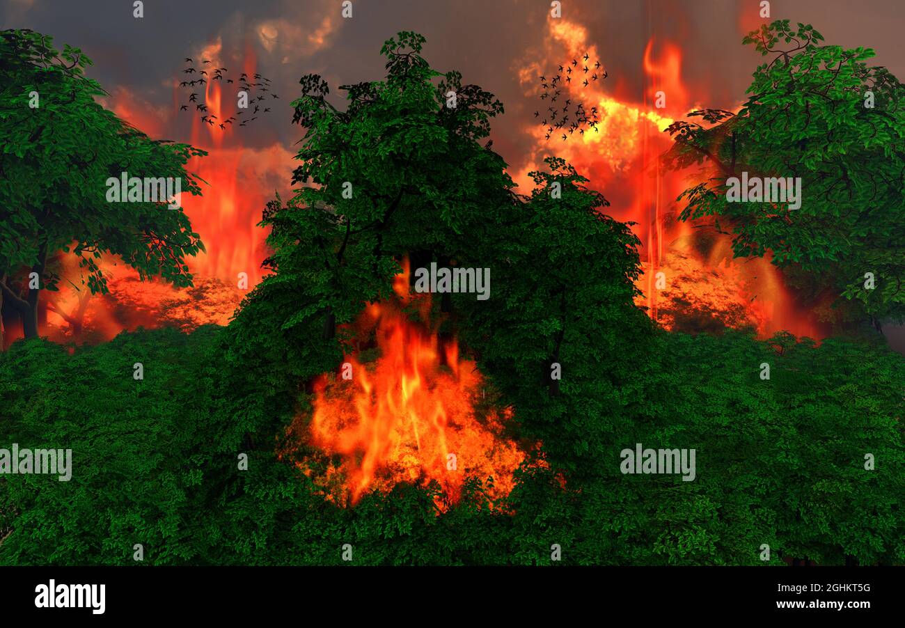 Les oiseaux s'échappant D'Un feu de forêt Banque D'Images