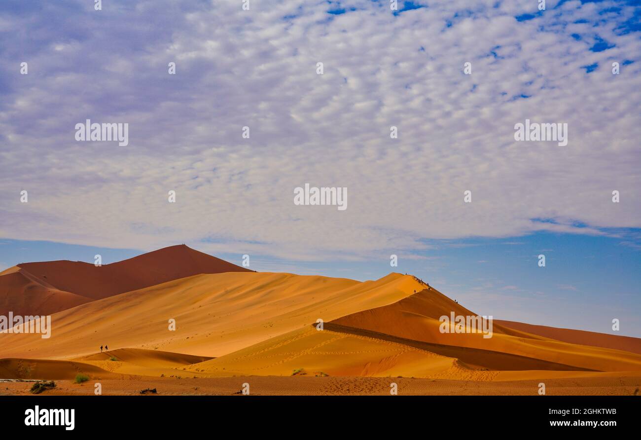 Le désert rouge, les arbres morts, et les touristes randonnée dans les dunes de sable. Sossusvlei est une casserole de sel et d'argile entourée de hautes dunes rouges, Namib-Naukluft Nati Banque D'Images