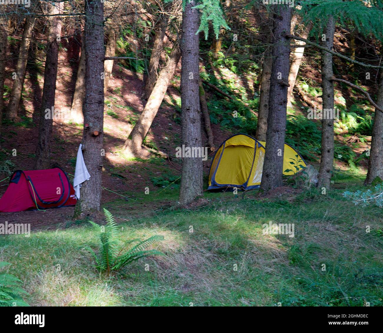 Camping sauvage dans le parc régional de Pentland Hills, Midlothian, Écosse Banque D'Images