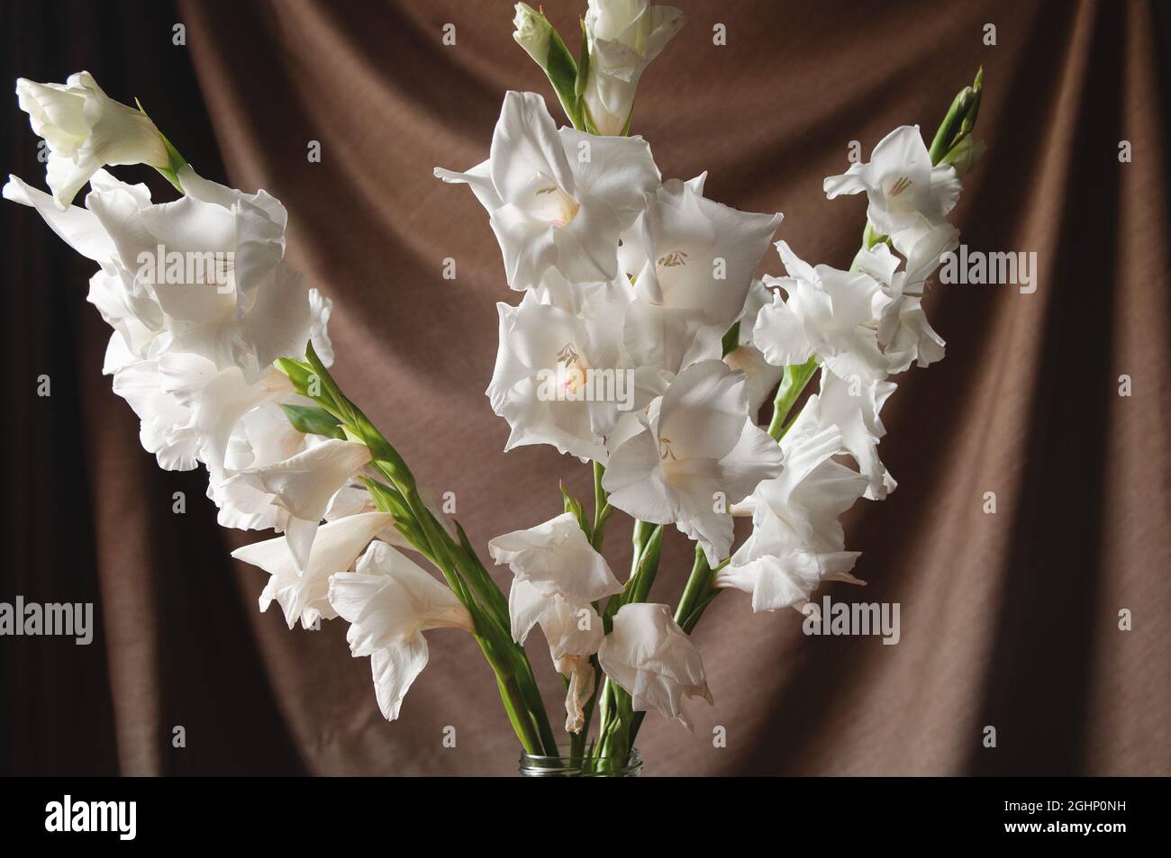 Un délicat bouquet de gladioli blanc dans un vase en verre se dresse sur une table en bois et un fond de chiffon marron Banque D'Images