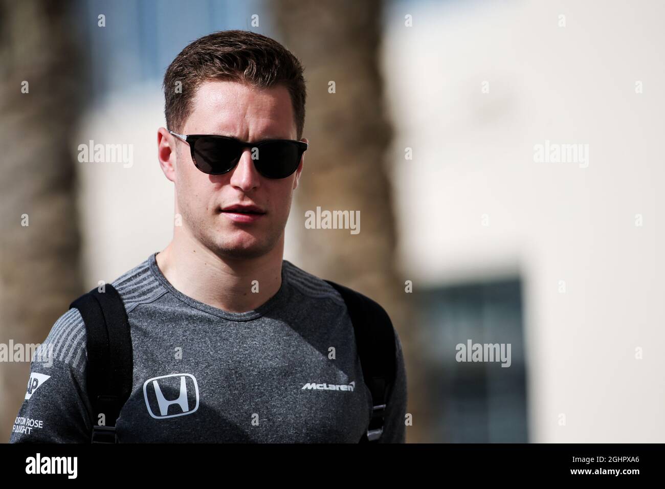 Stoffel Vandoorne (bel) McLaren. 24.11.2017. Formula 1 World Championship, Rd 20, Grand Prix d'Abu Dhabi, circuit Yas Marina, Abu Dhabi, Practice Day. Le crédit photo doit être lu : images XPB/Press Association. Banque D'Images