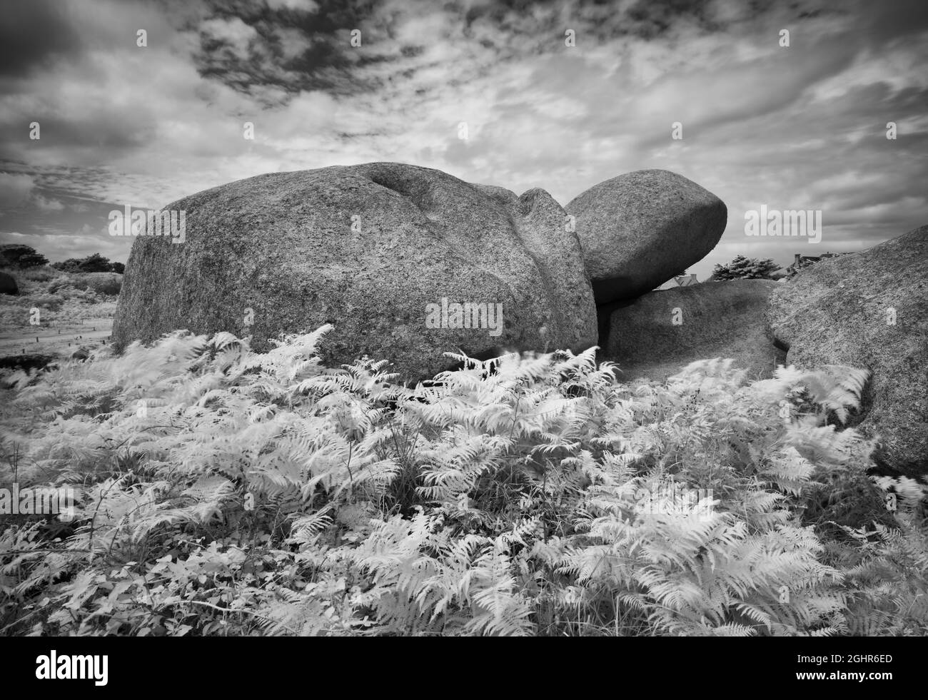 La formation rocheuse de la tortue, tortue, île Renote, côte rocheuse le long du Sentier des douaniers, Tregastel, Côte de granit Rose, Côtes d'Armor Banque D'Images