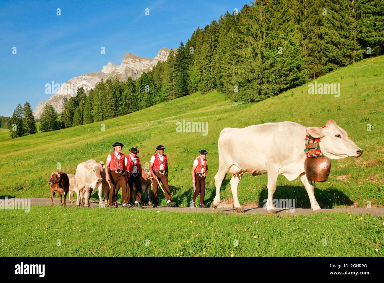 Procession alpine à Lutertanen, devant le massif de l'Alpstein, avec Saentis en montagne, canton de Saint-Gall et Appenzell, Suisse Banque D'Images