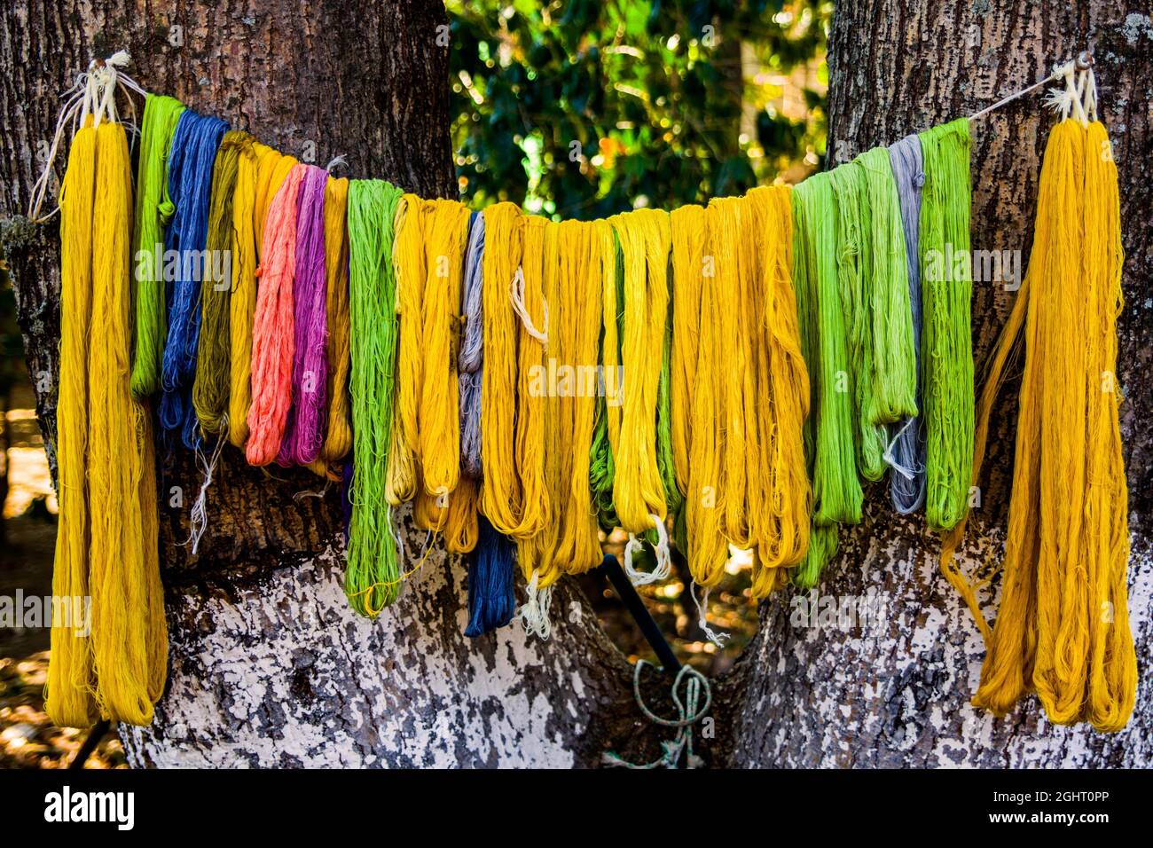 Coton teint, démonstration du tissage maya traditionnel, Ajto, Guatemala Banque D'Images