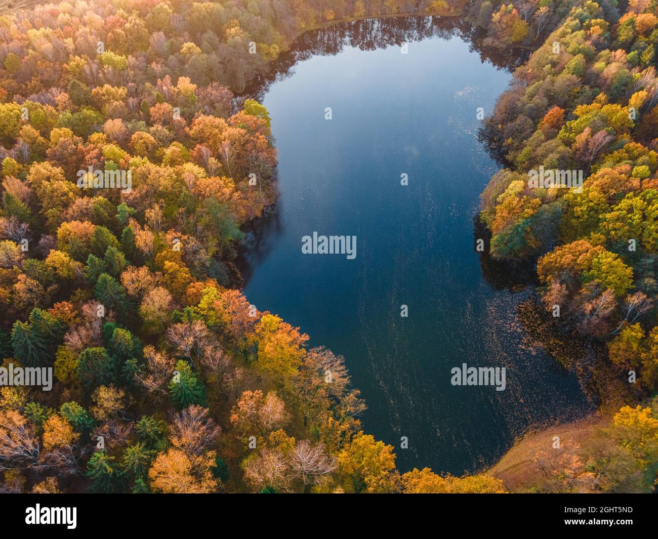 Forêt d'automne avec vue aérienne sur le lac drone. Arbres aux feuilles colorées orange, rouge, jaune et verte. Concept nature Banque D'Images