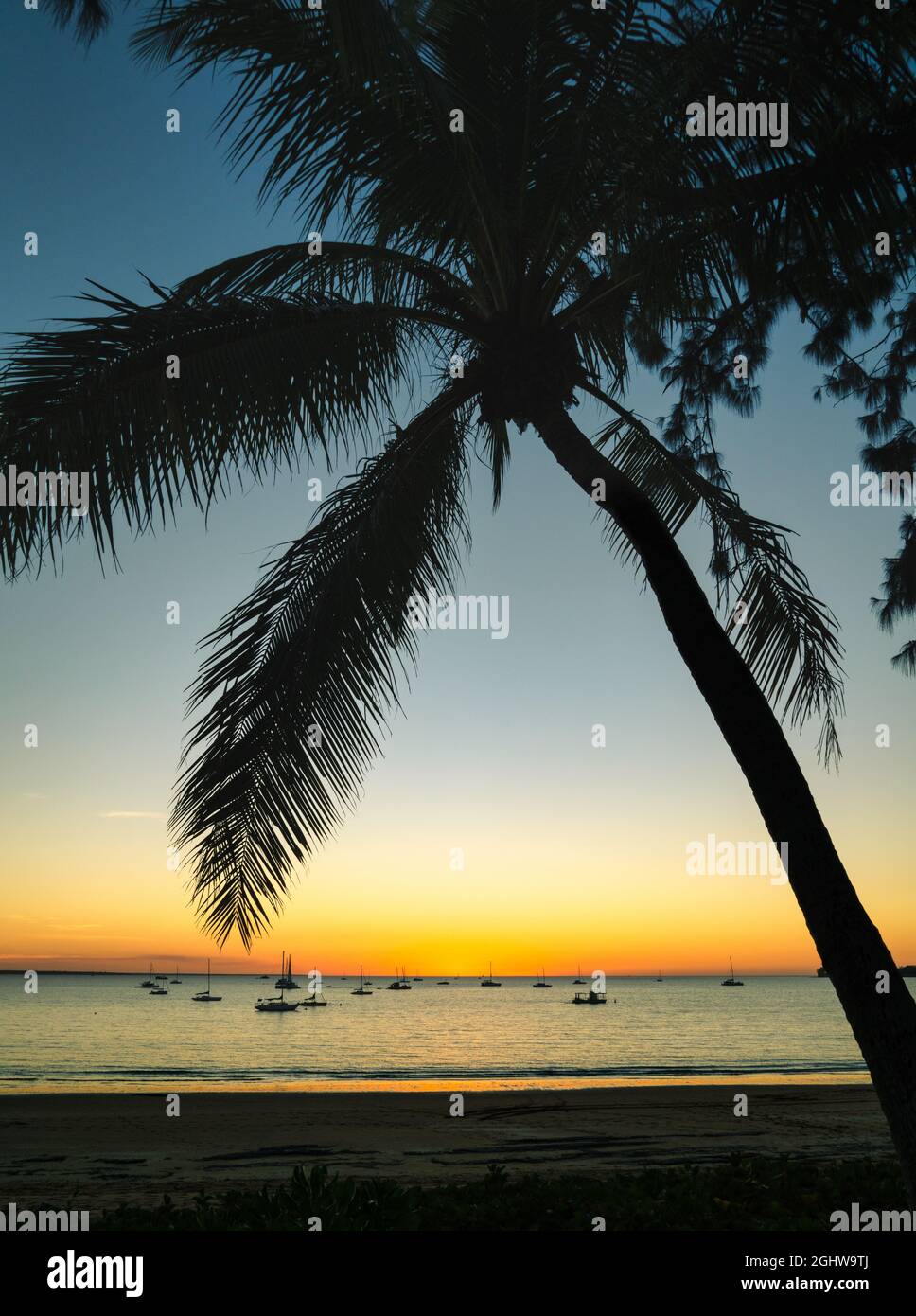 Silhouette de palmiers et yachts ancrés dans l'océan au coucher du soleil, Fannie Bay, Darwin, territoire du Nord, Australie Banque D'Images