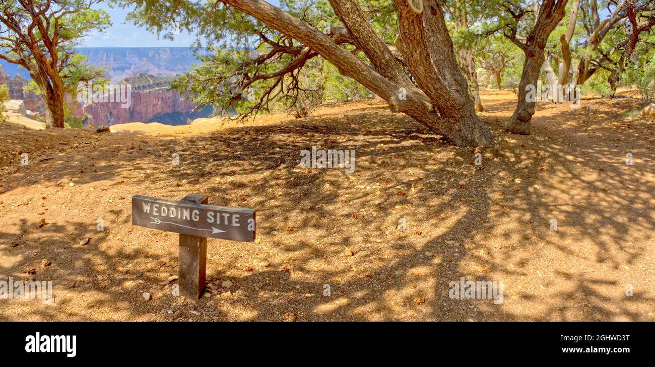 Panneau du lieu de mariage, Cap Royal, plateau nord, forêt nationale de Kaibab, Grand Canyon, Arizona, États-Unis Banque D'Images