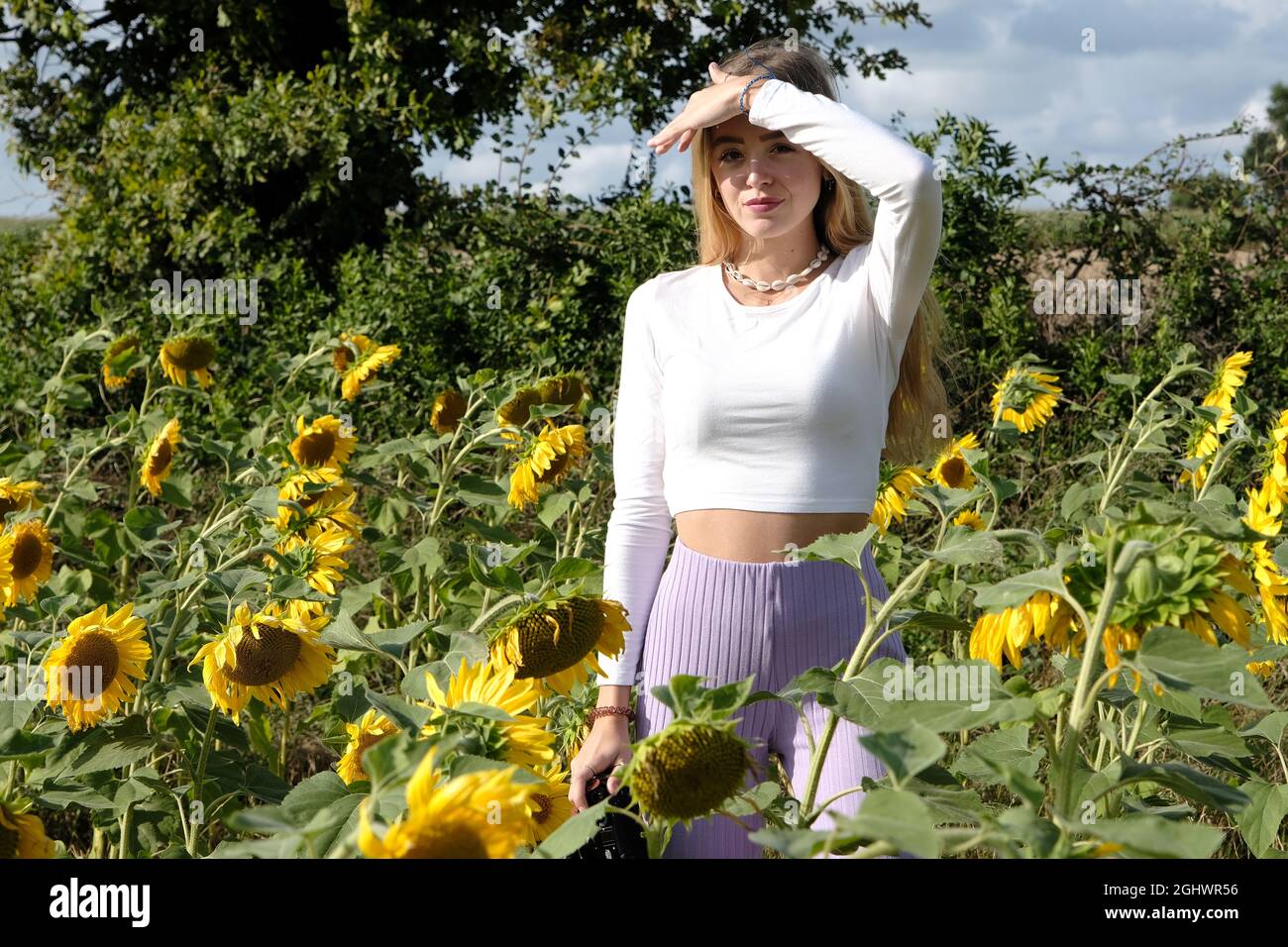 Adolescente debout dans un champ de tournesol en protégeant ses yeux du soleil, France Banque D'Images