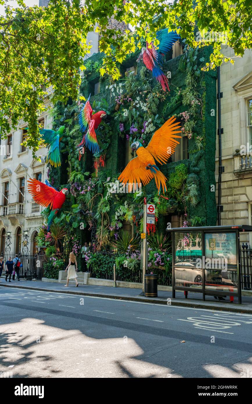 LONDRES - 07 SEPTEMBRE 2021 : la porte d'entrée de la célèbre discothèque West End d'Annabel, située dans une maison de maître géorgienne classée de catégorie I, est décorée avec Banque D'Images