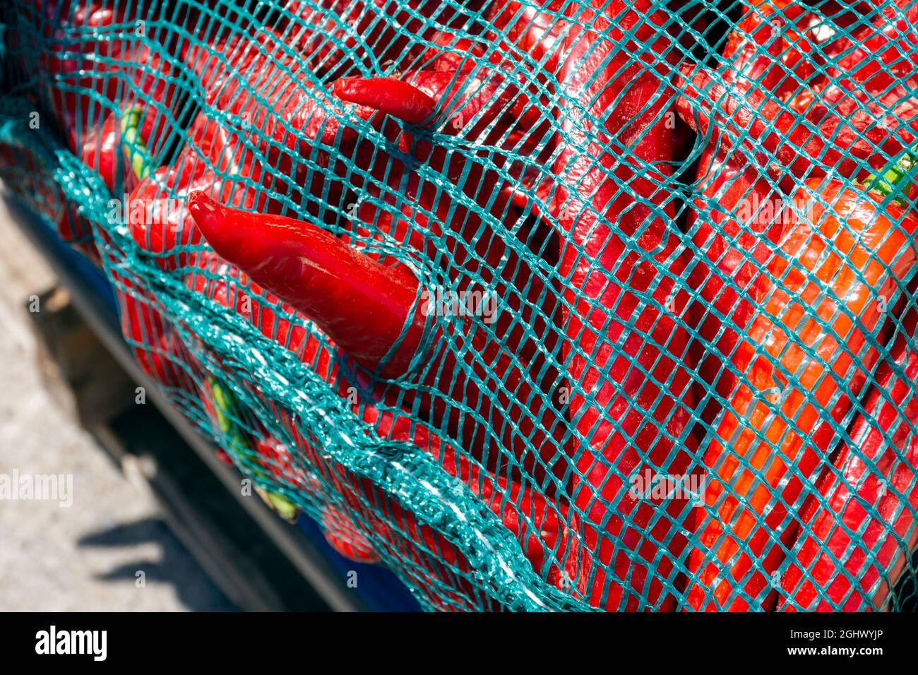 Résumé alimentaire des piments rouges chauds dans un sac en maille turquoise vu sur le marché. Banque D'Images