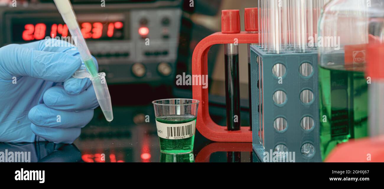 Préparation d'échantillons pour la spectrométrie de masse dans un laboratoire scientifique. Remplissage des tubes à essai avec des échantillons à l'aide d'une pipette et d'instruments de mesure sur le b Banque D'Images